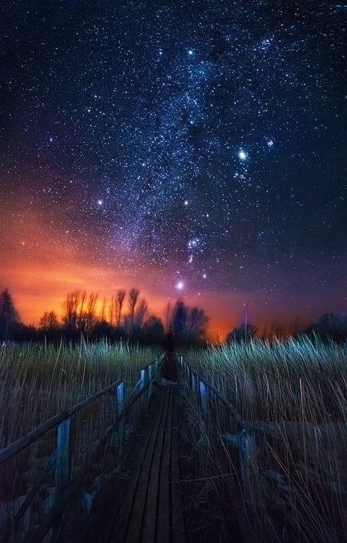 mobilewallpapers7_014