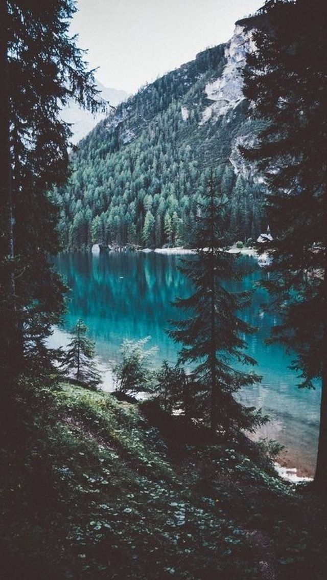 mobilewallpapers8_039