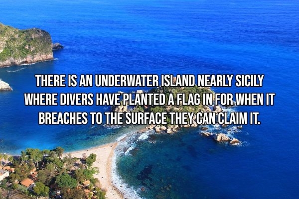 pixarfacts9_013