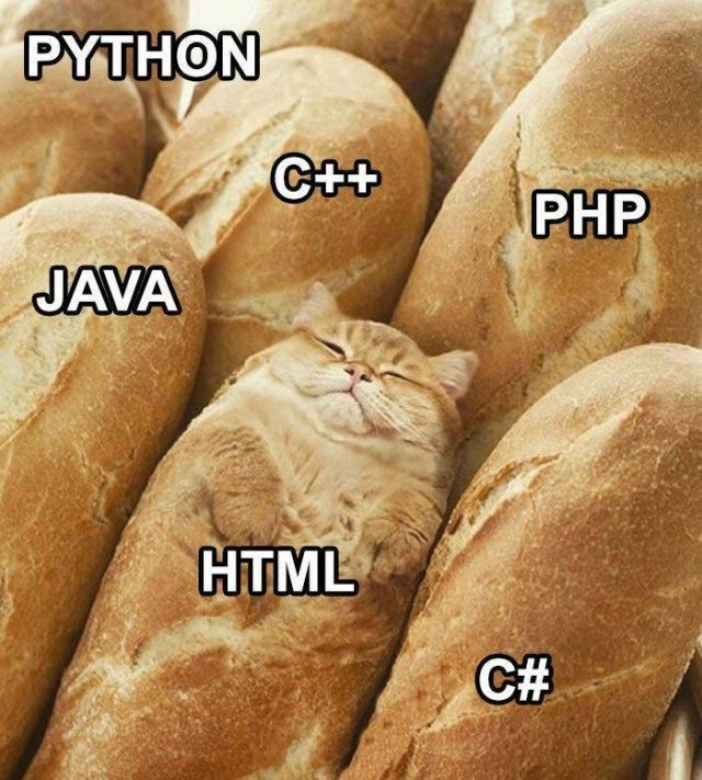 programmermemes2_025