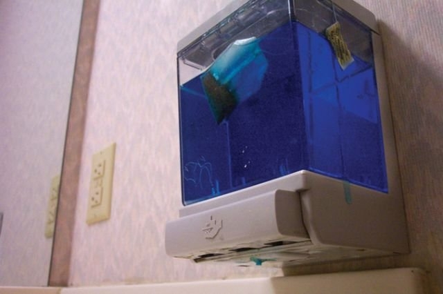 randompics669_062