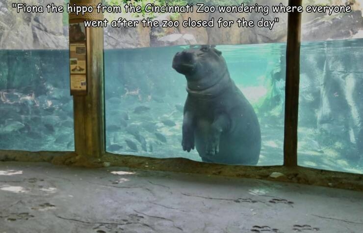 randompics677_063