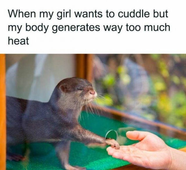 relationshipmemes4_005