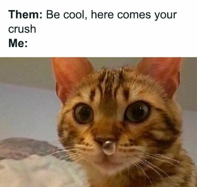 relationshipmemes4_006