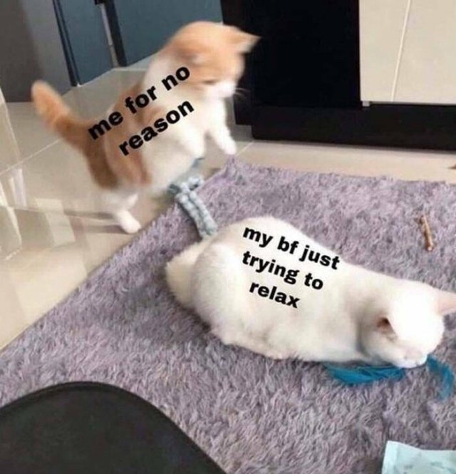 relationshipmemes4_025