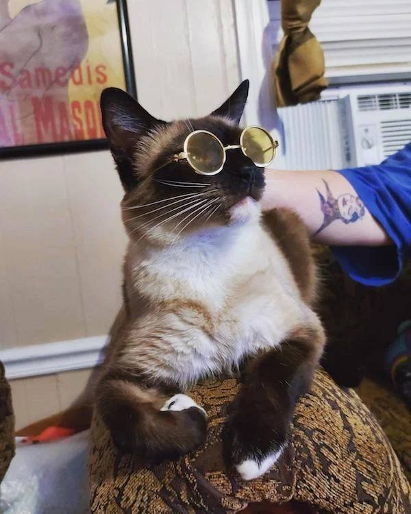 thriftstorefinds2_024