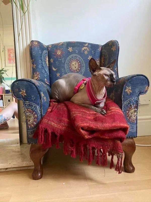 thriftstorefinds2_029