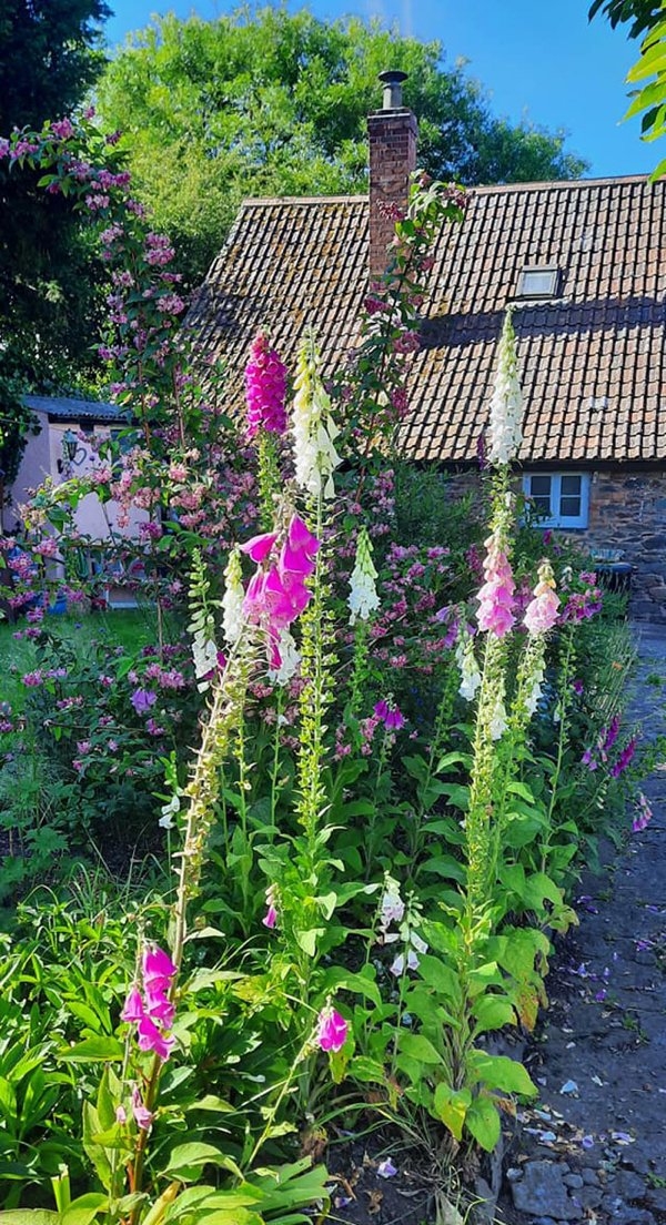 bellingrathgardens2_002