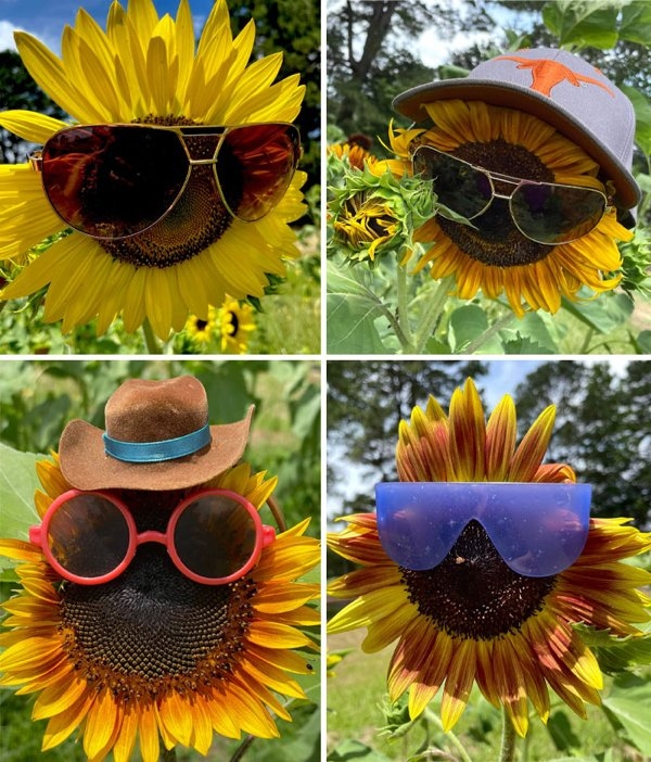 bellingrathgardens2_004