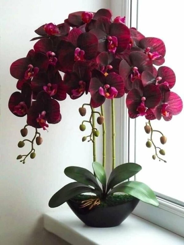 bellingrathgardens2_012