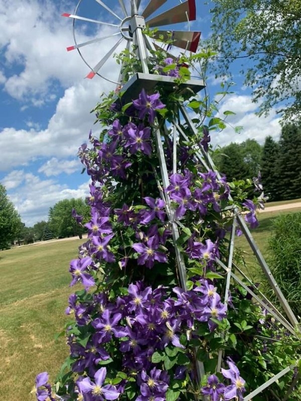 bellingrathgardens2_013