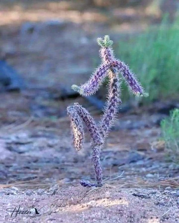 bellingrathgardens2_017