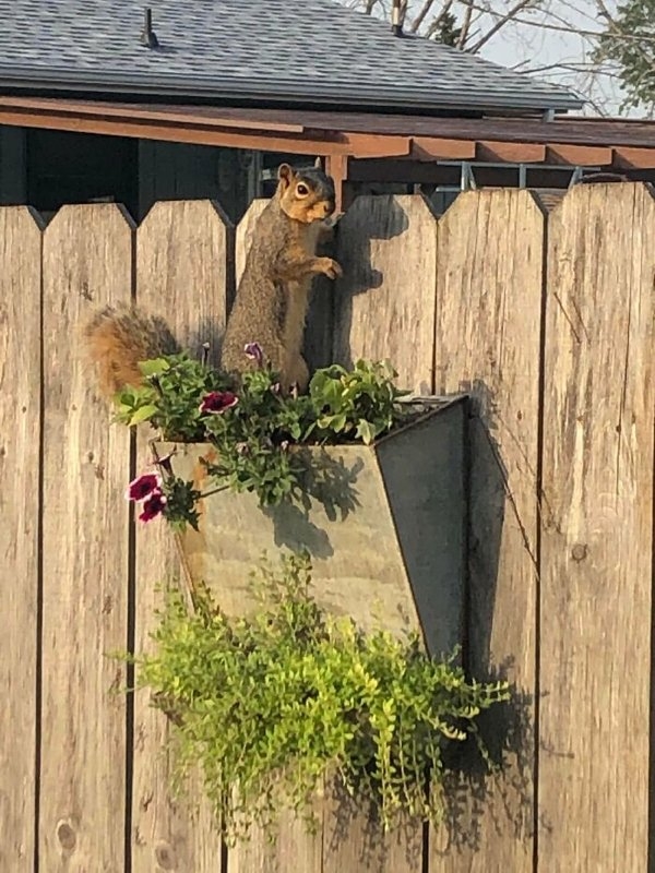 bellingrathgardens2_028