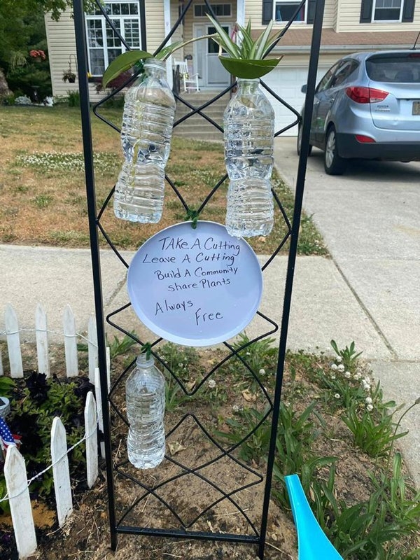 bellingrathgardens2_029