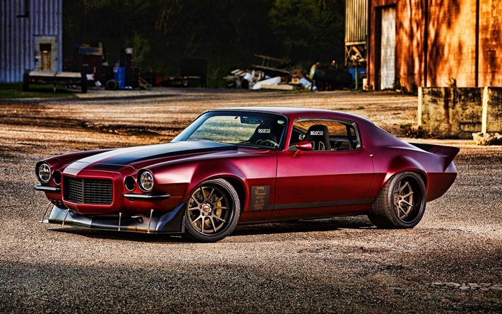 classiccars100autolive2_019