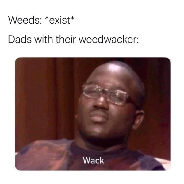 dadmemes5_011
