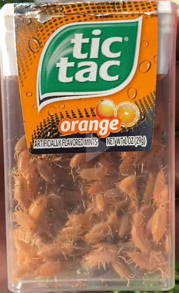 foodfails_008