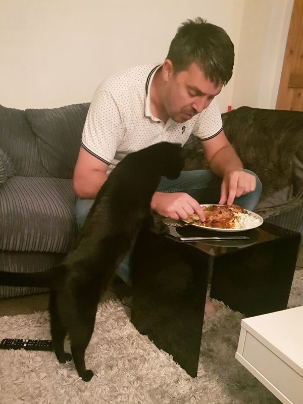 funnyanimals20_033