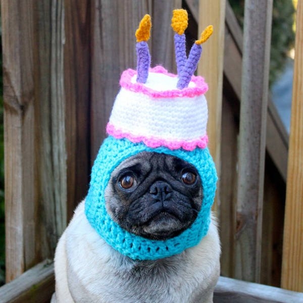 funnyanimals20_035