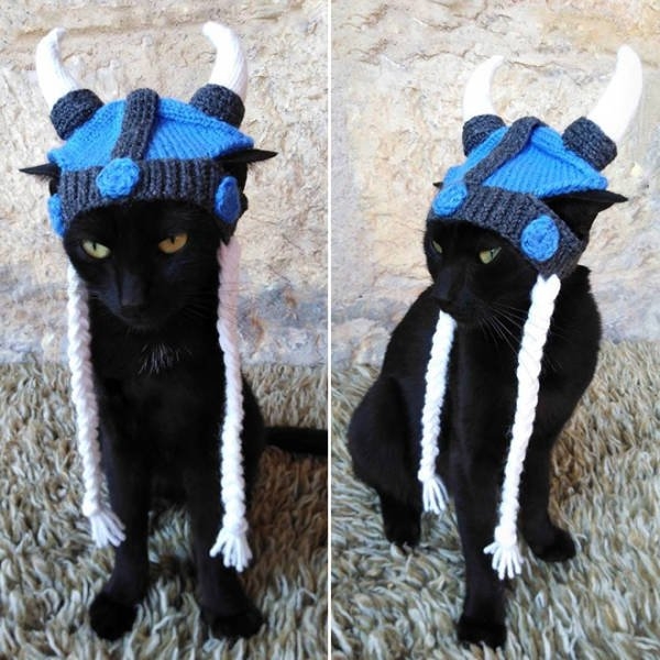 funnyanimals20_037