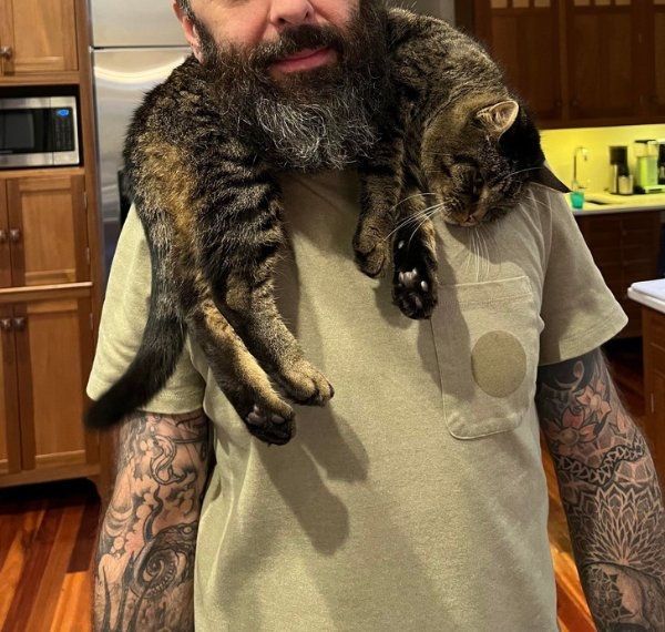 funnycats11_011
