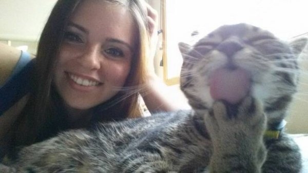 funnycats11_012