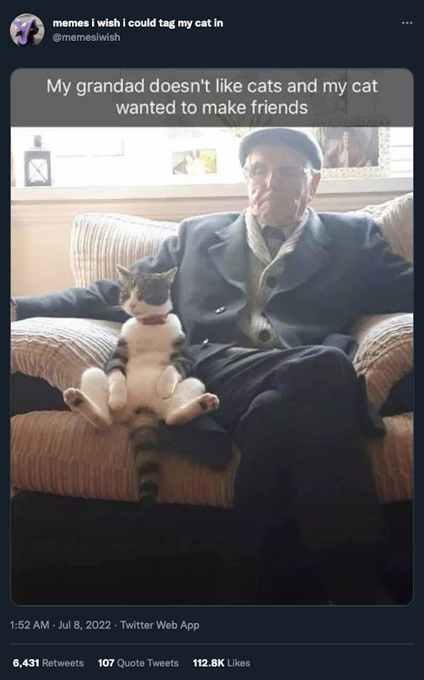 funnycats11_035