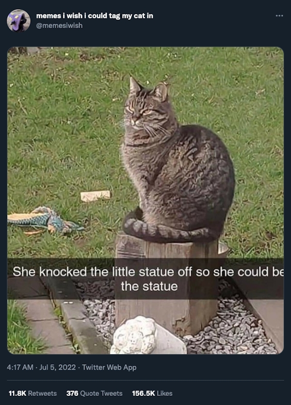 funnycats11_040