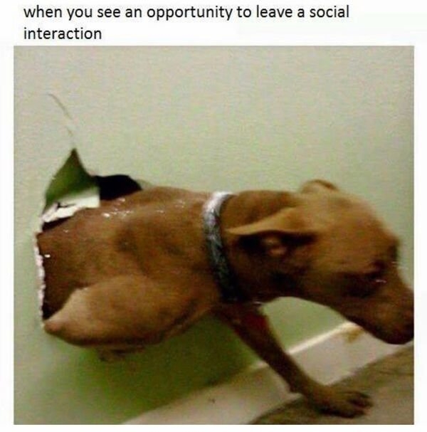 funnymemes130_003