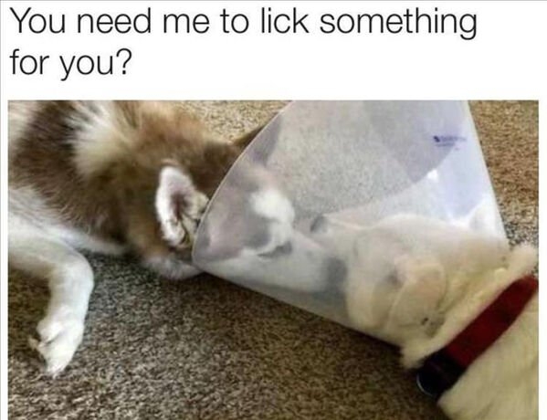 funnymemes130_005
