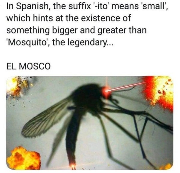 funnymemes130_025