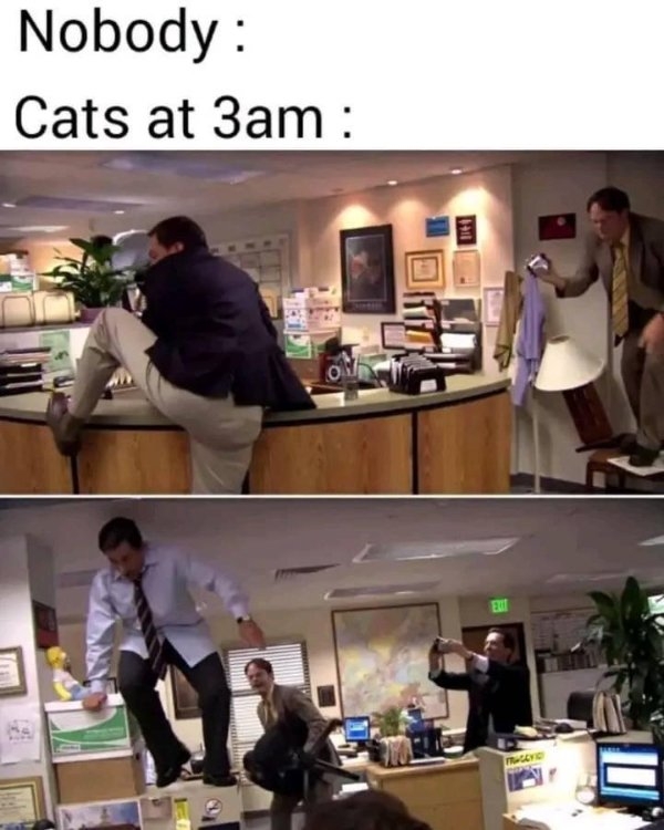 funnymemes130_034