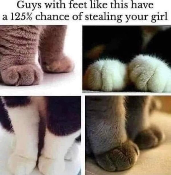 funnymemes130_036