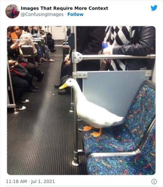 imagesthatrequiremorecontext_006