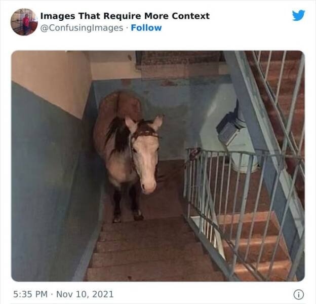 imagesthatrequiremorecontext_011