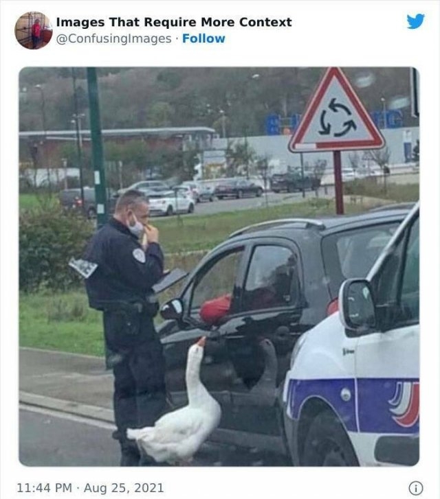 imagesthatrequiremorecontext_014