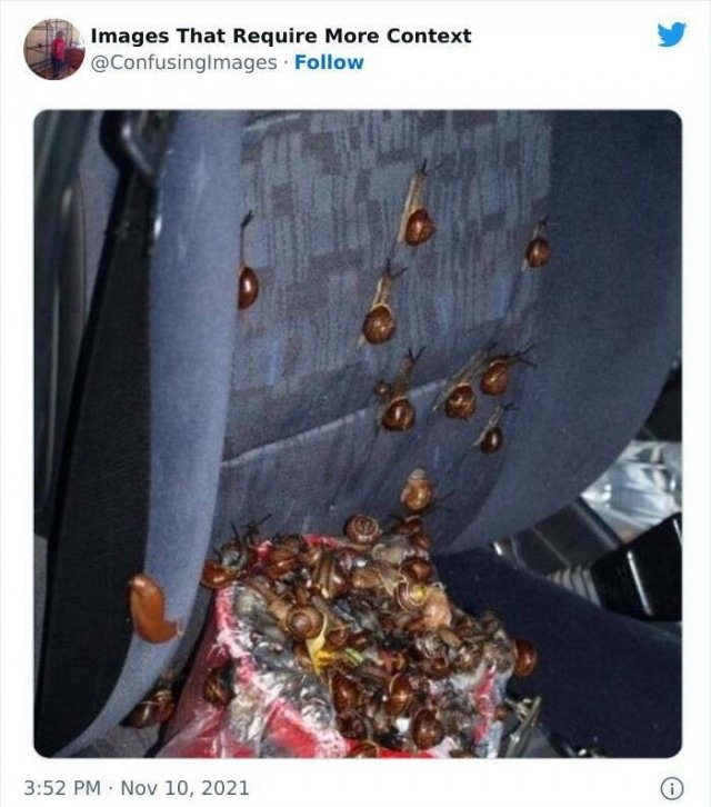 imagesthatrequiremorecontext_022