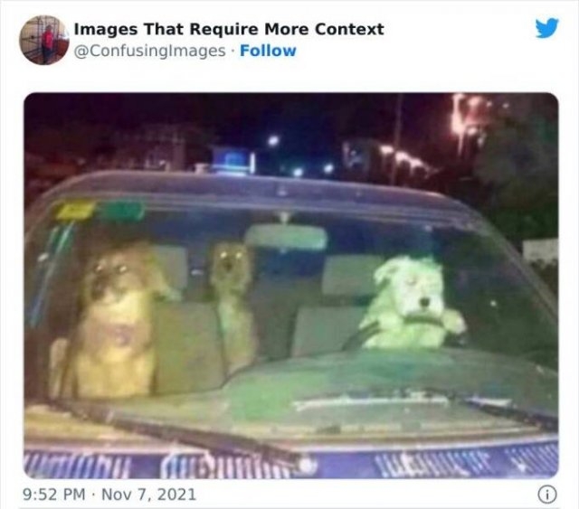 imagesthatrequiremorecontext_023