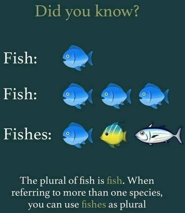 interestingdata28_001