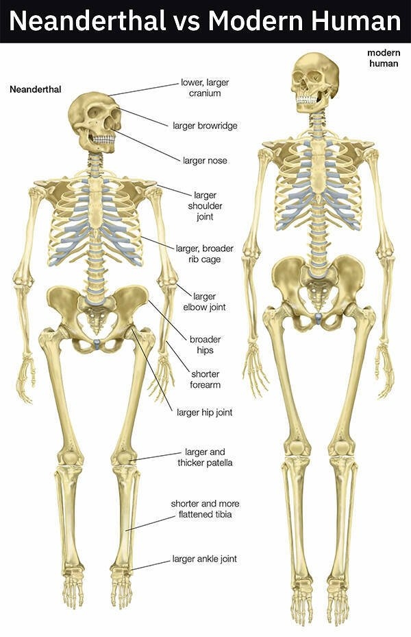 interestingdata28_003