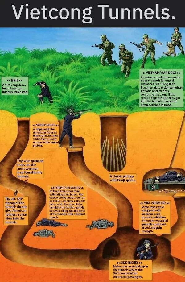 interestingdata29_008