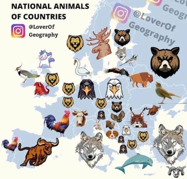 interestingdata29_010