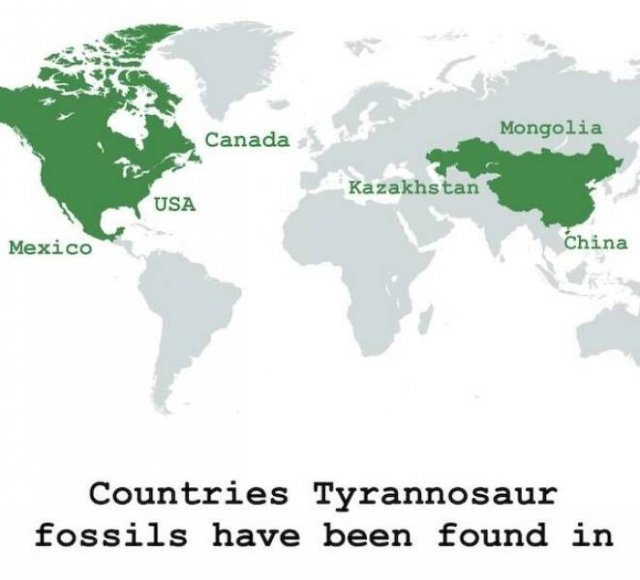 interestingdata29_013