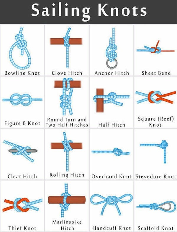 interestingdata29_016