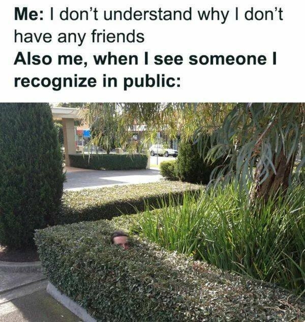 introvertmemes6_006