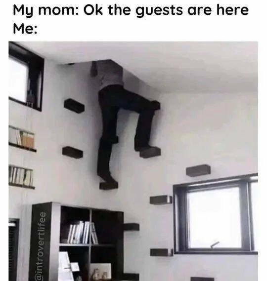introvertmemes6_008