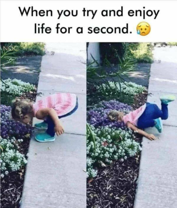 introvertmemes6_012