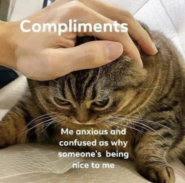 introvertmemes6_014
