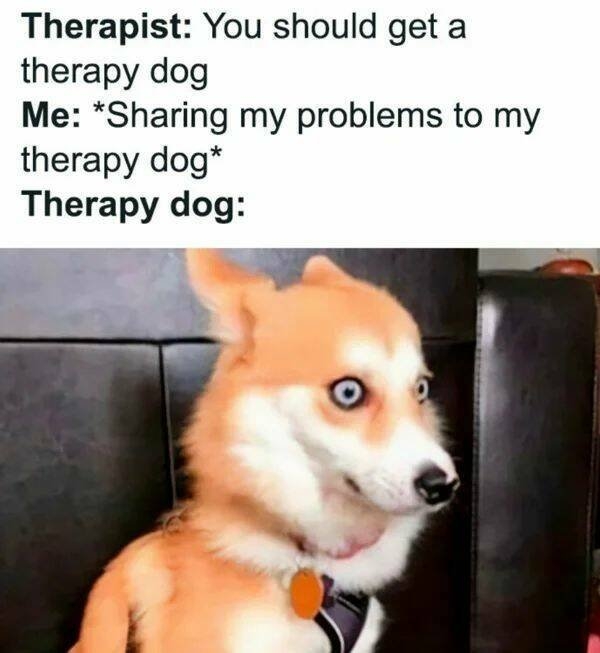introvertmemes6_017