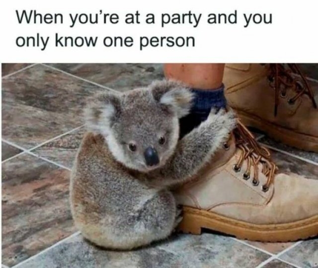 introvertmemes6_019